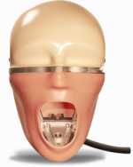 Charlie Manikin