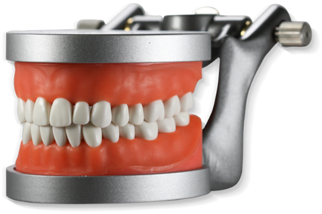Dental Hygiene Restorative