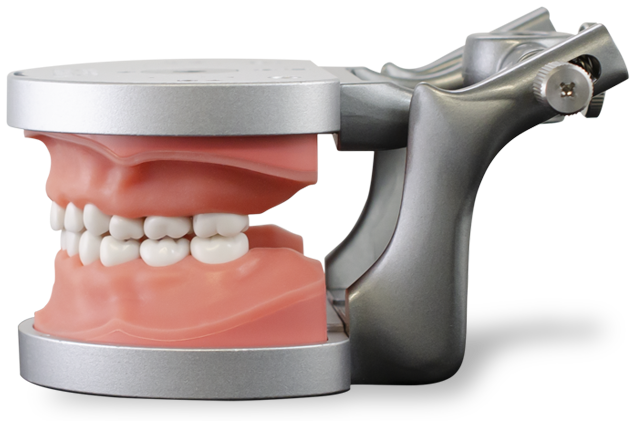 Dental Therapy