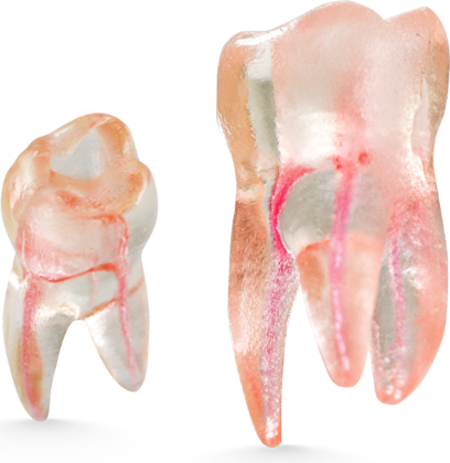 Endo 3DP